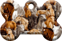 Caballos_04